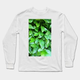 Lemon Tree Leaves Long Sleeve T-Shirt